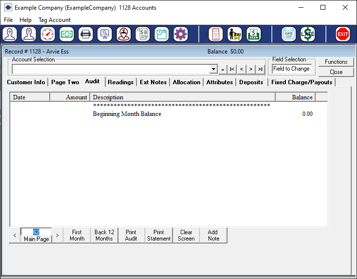 The Customer Audit Screen