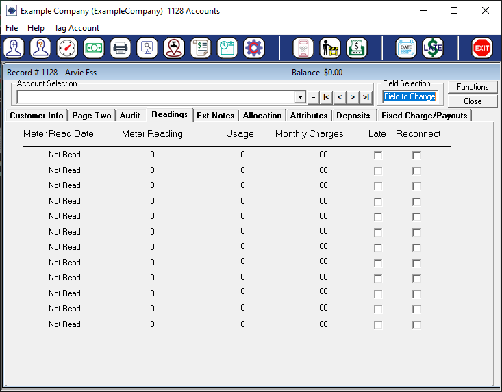 The Customer Audit Screen